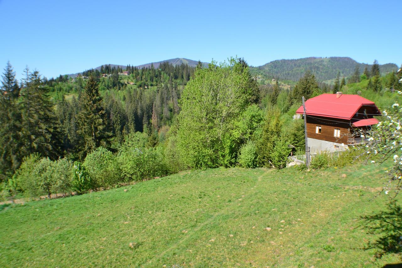 Karpatski Prostory Slavske Exterior photo